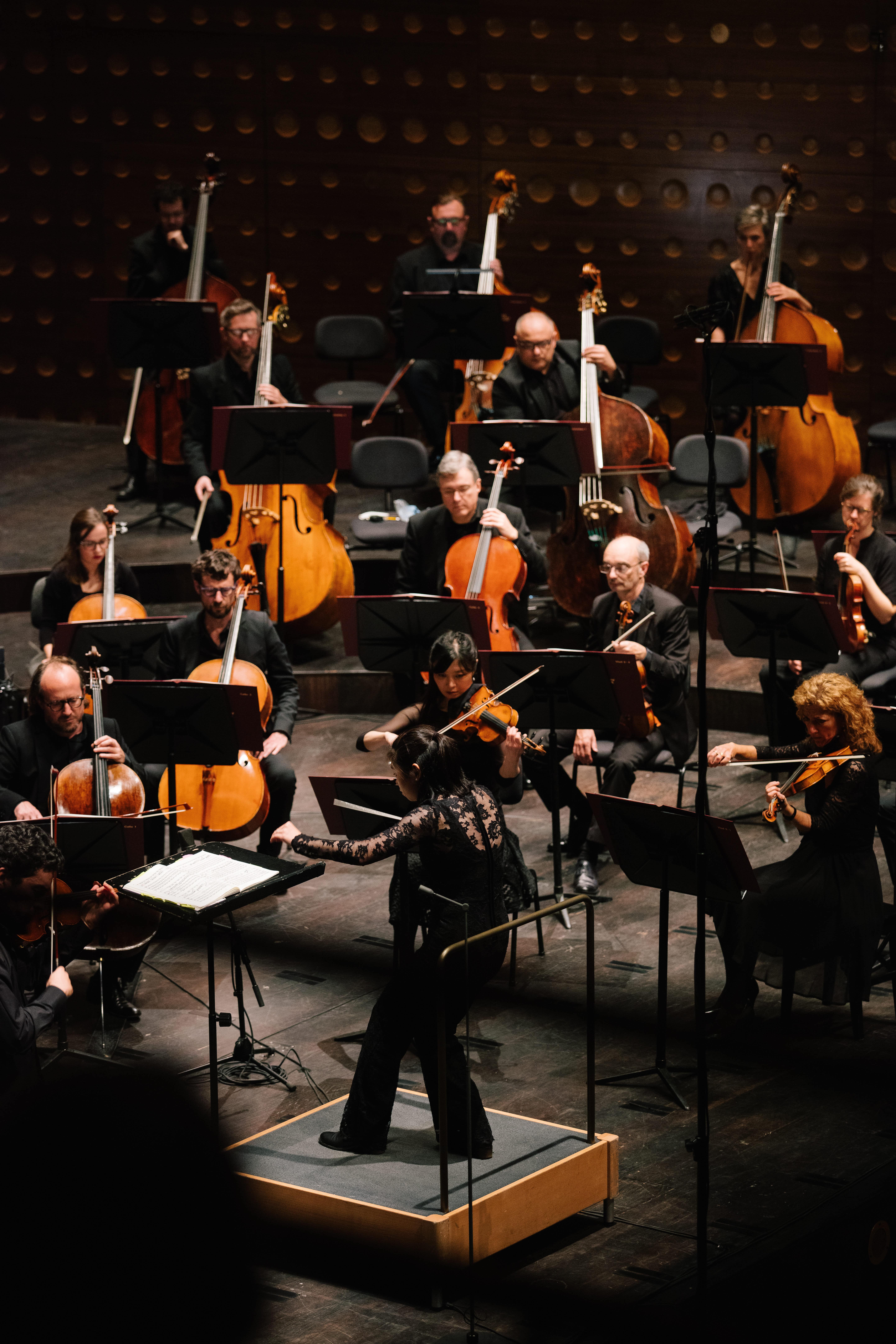 Antwerp Symphony Orchestra