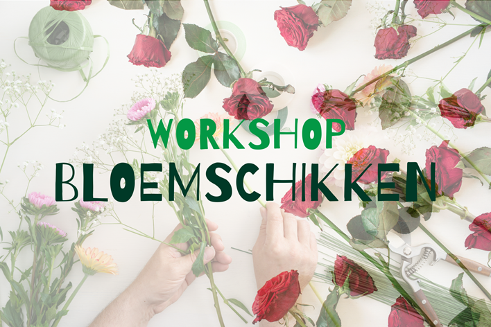 Image for gzbd activity