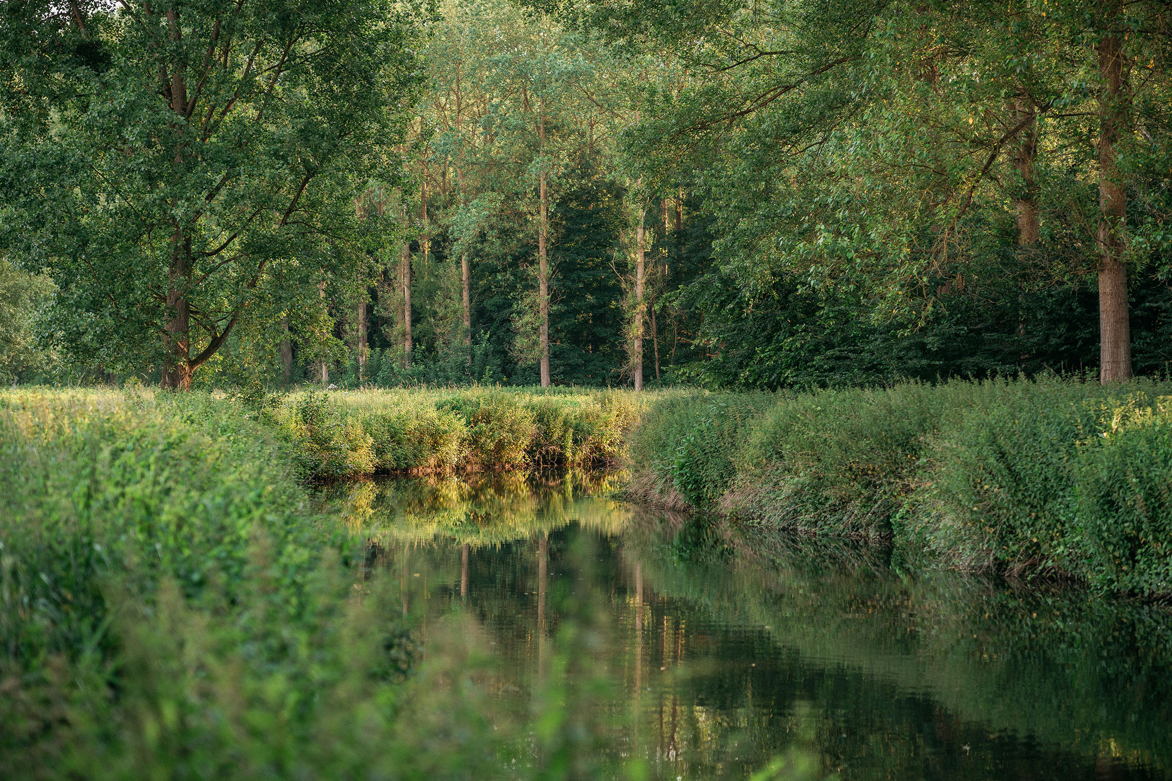 Groene rust op de rand van de Brabantse Wouden