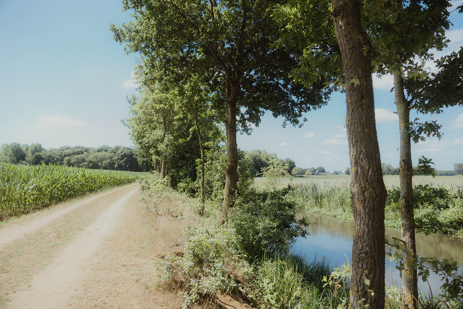 Afbeelding voor evenement Gegidste wandeling Natuurgebied Den Haert