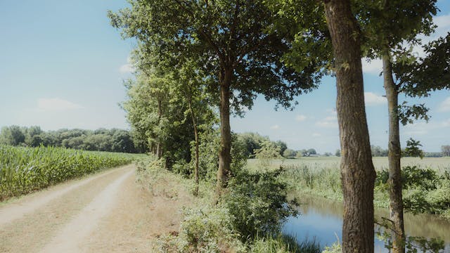 Afbeelding voor evenement Gegidste wandeling Natuurgebied Den Haert