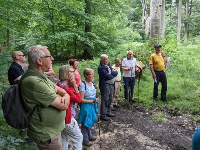 Foto van een wandeling naar de tumuli 