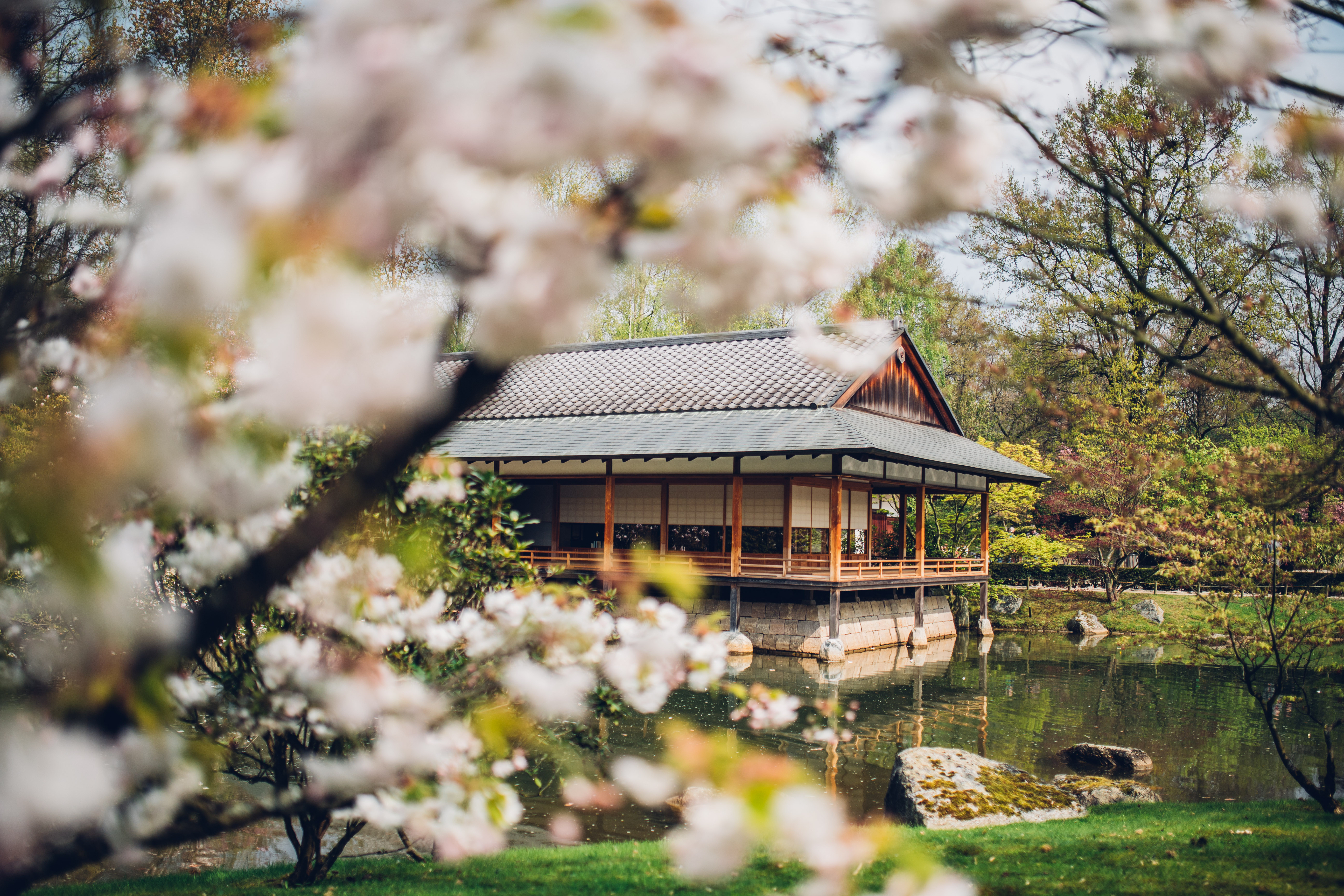 Japanse Tuin Ceremoniehuis