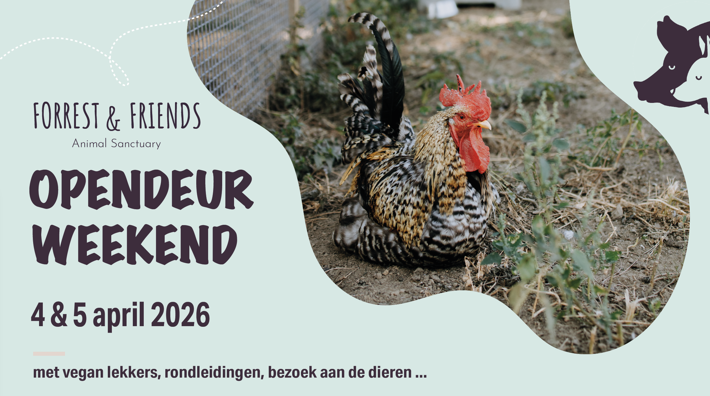 Opendeurweekend Forrest & Friends