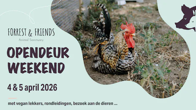 Opendeurweekend Forrest & Friends