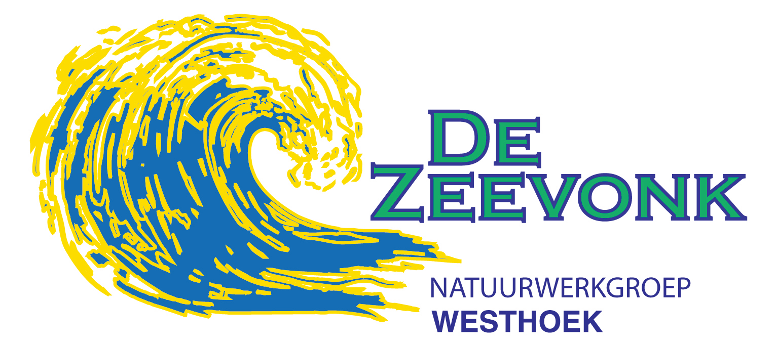 Bij De Zeevonk maken kinderen en jongeren op een speelse manier kennis met de natuur