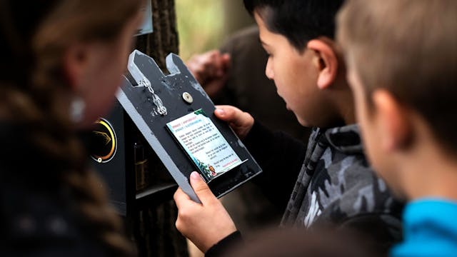 Schat van Koning Leeuw