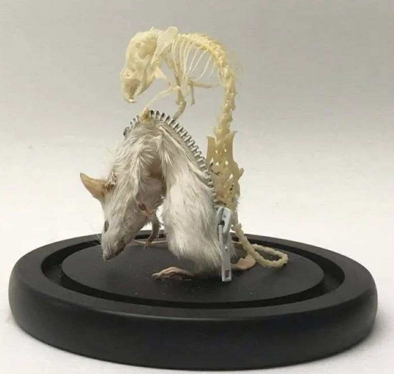 Een kunstwerk van Winke Hossfeld