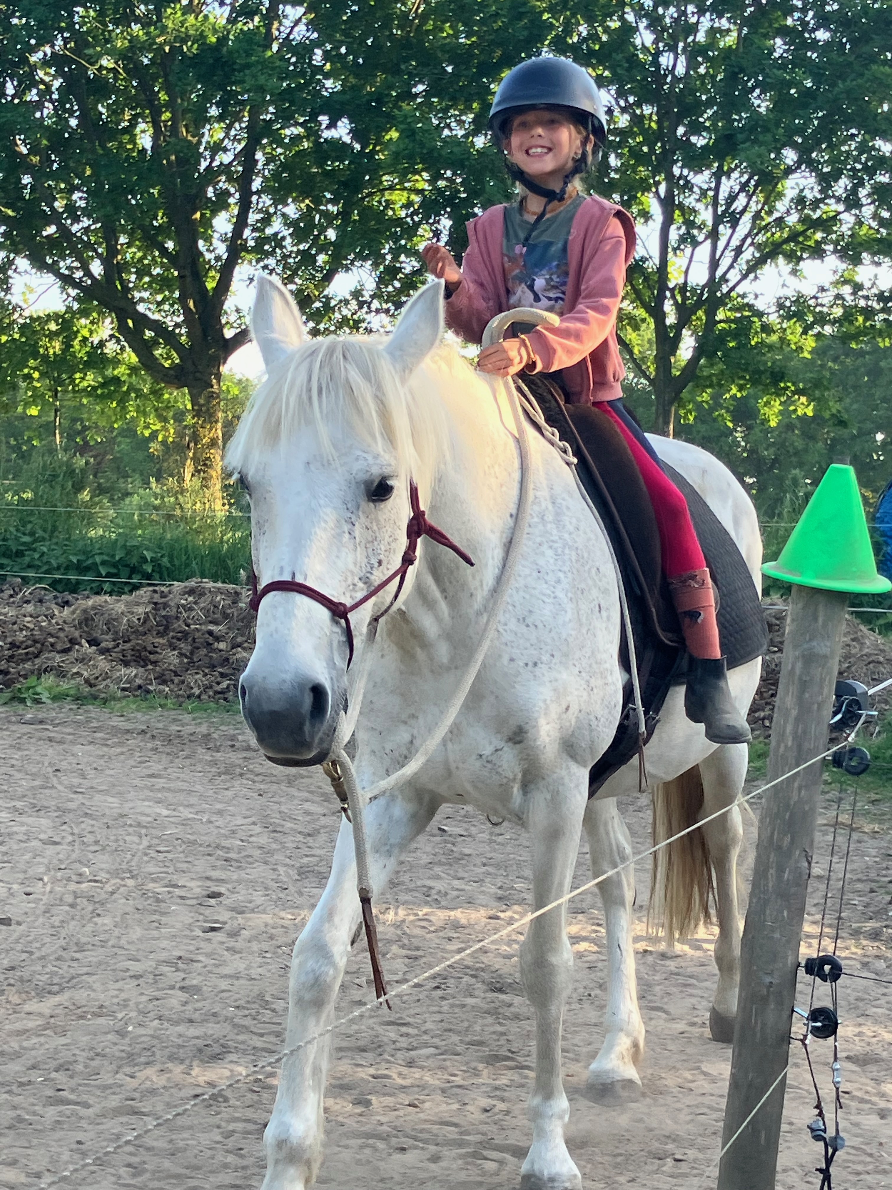 paardrijles natural horsemanship Limburg België