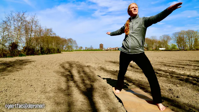 de krijger houding