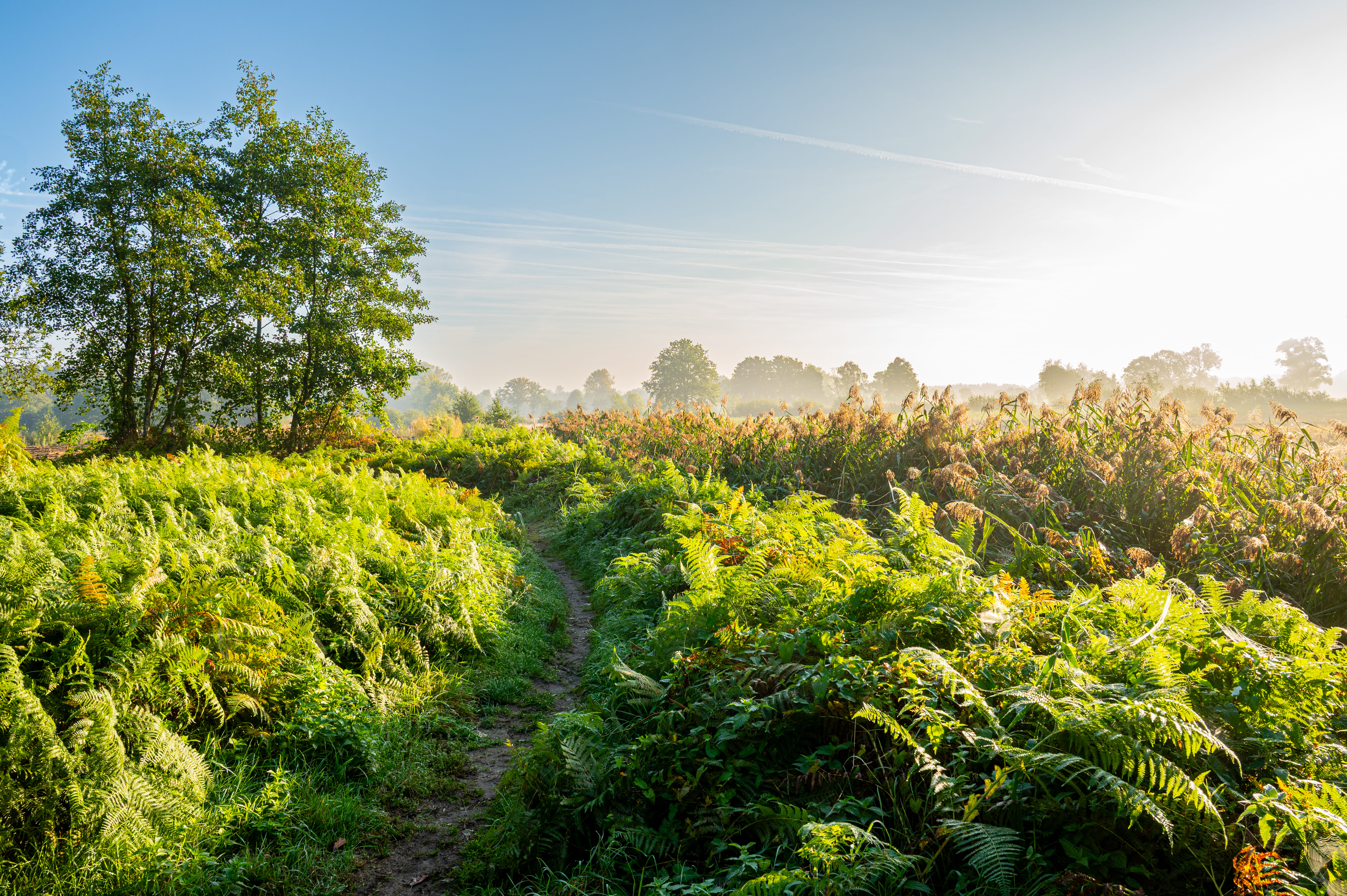 Puur Natuur tentoonstelling