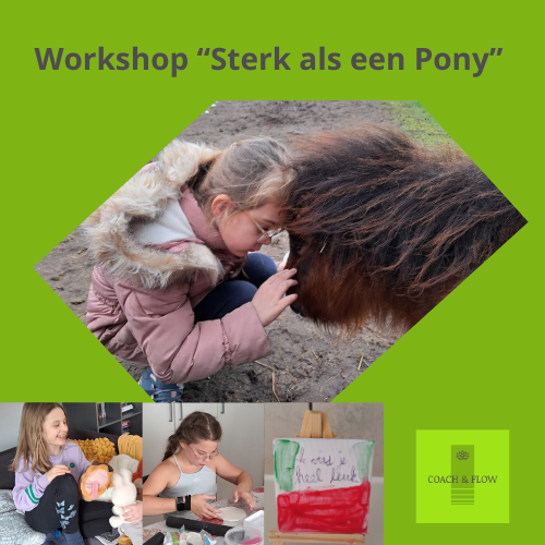 Sterk als een pony