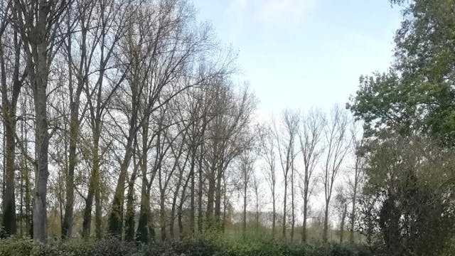 De natuur op doktersvoorschrift