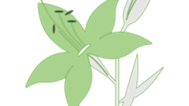 logo Natuurwandelaars