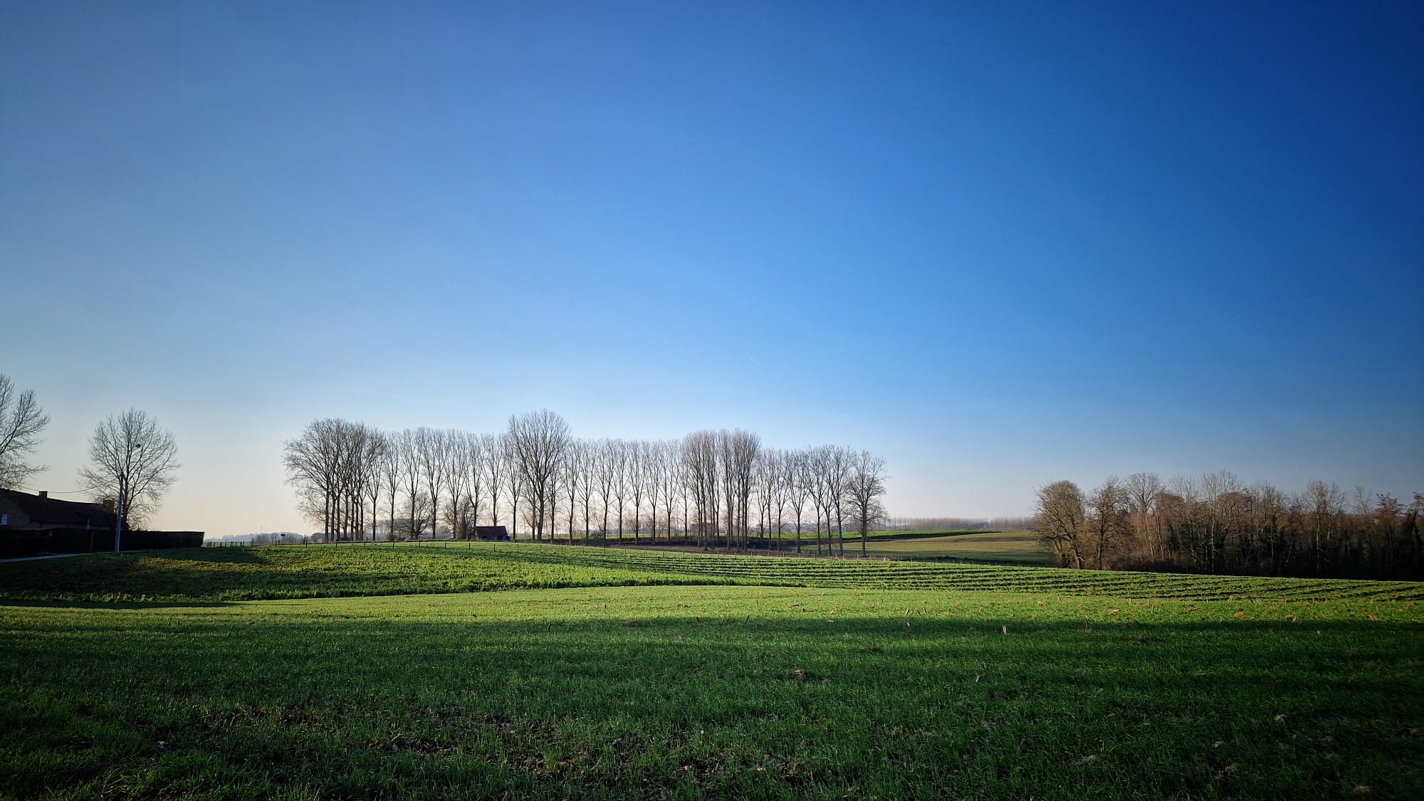 winterwandeling Gaasbeek 18/01/26