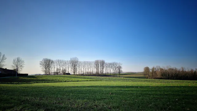winterwandeling Gaasbeek 18/01/26