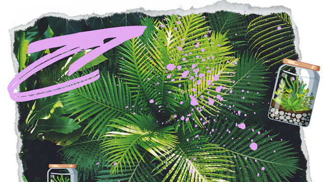 KUNSTeldoos - Groene vingers