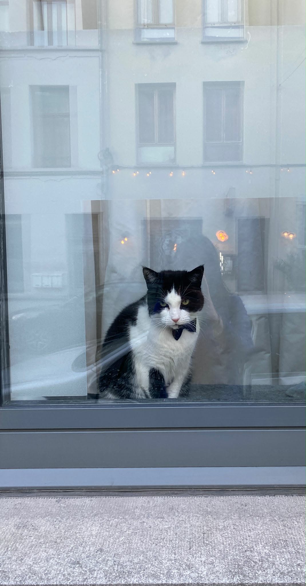 STORMBOK VOOR JEUGDKOEKOEKSMAAND