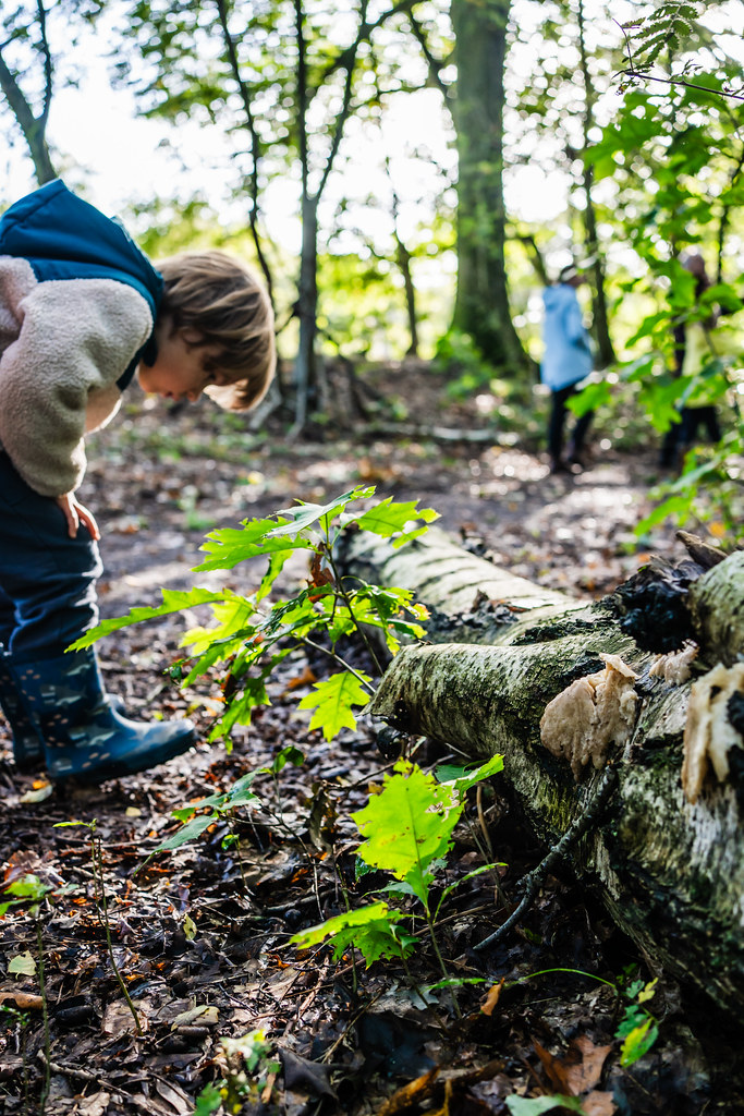 Kind zoekt naar sporen in het bos
