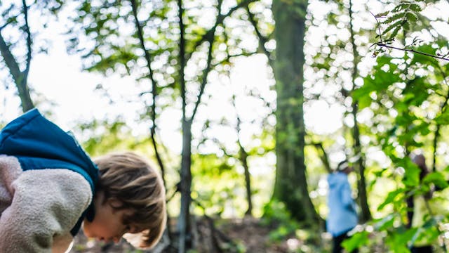 Kind zoekt naar sporen in het bos