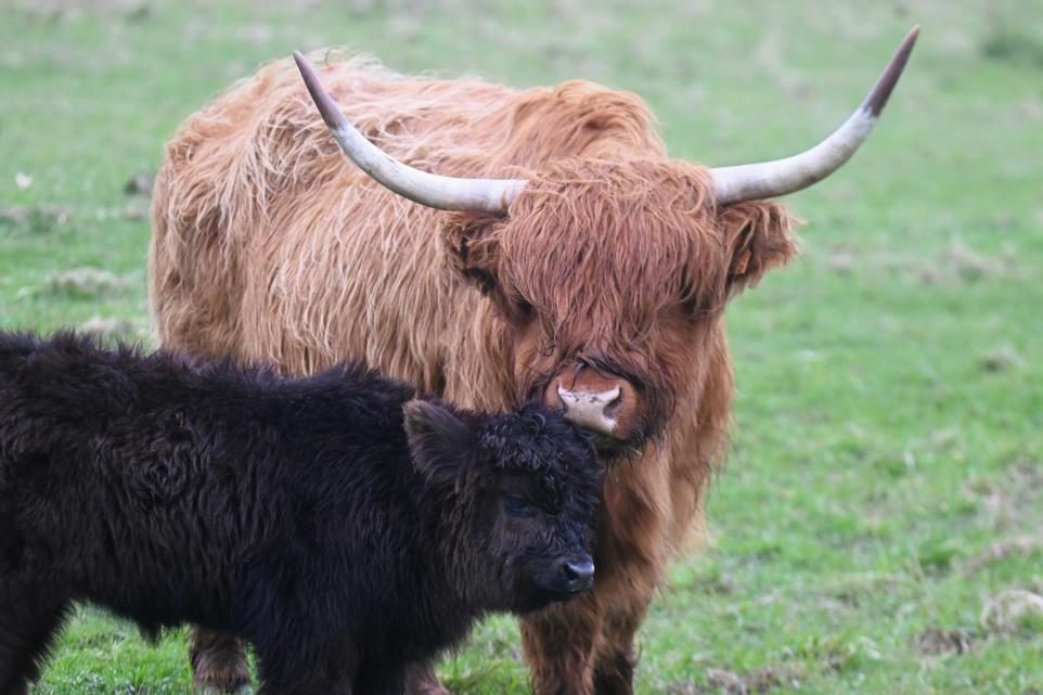 GEMEENTEBESTUUR KNOKKE-HEIST