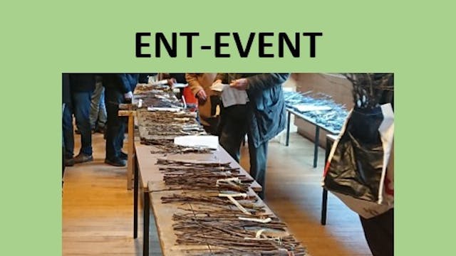 ENT-EVENT