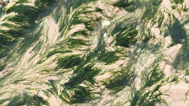 Copyright Foe © J. M. Coetzee, 1986 , alle rechten zijn voorbehouden door J. M. Coetzee over de hele wereld - gearrangeerd door Peter Lampack Agency, Inc.