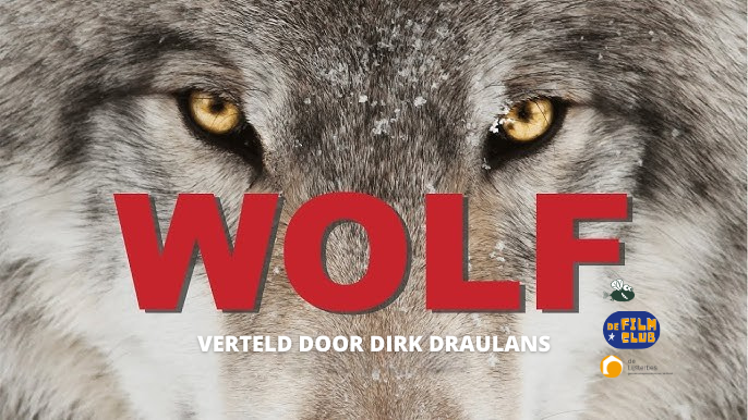 Wolf - documentaire