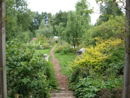 Tuin met veel biodiversiteit