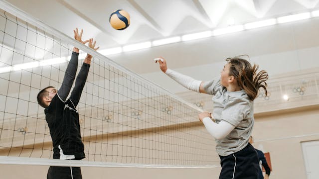 Image for gzbd activity