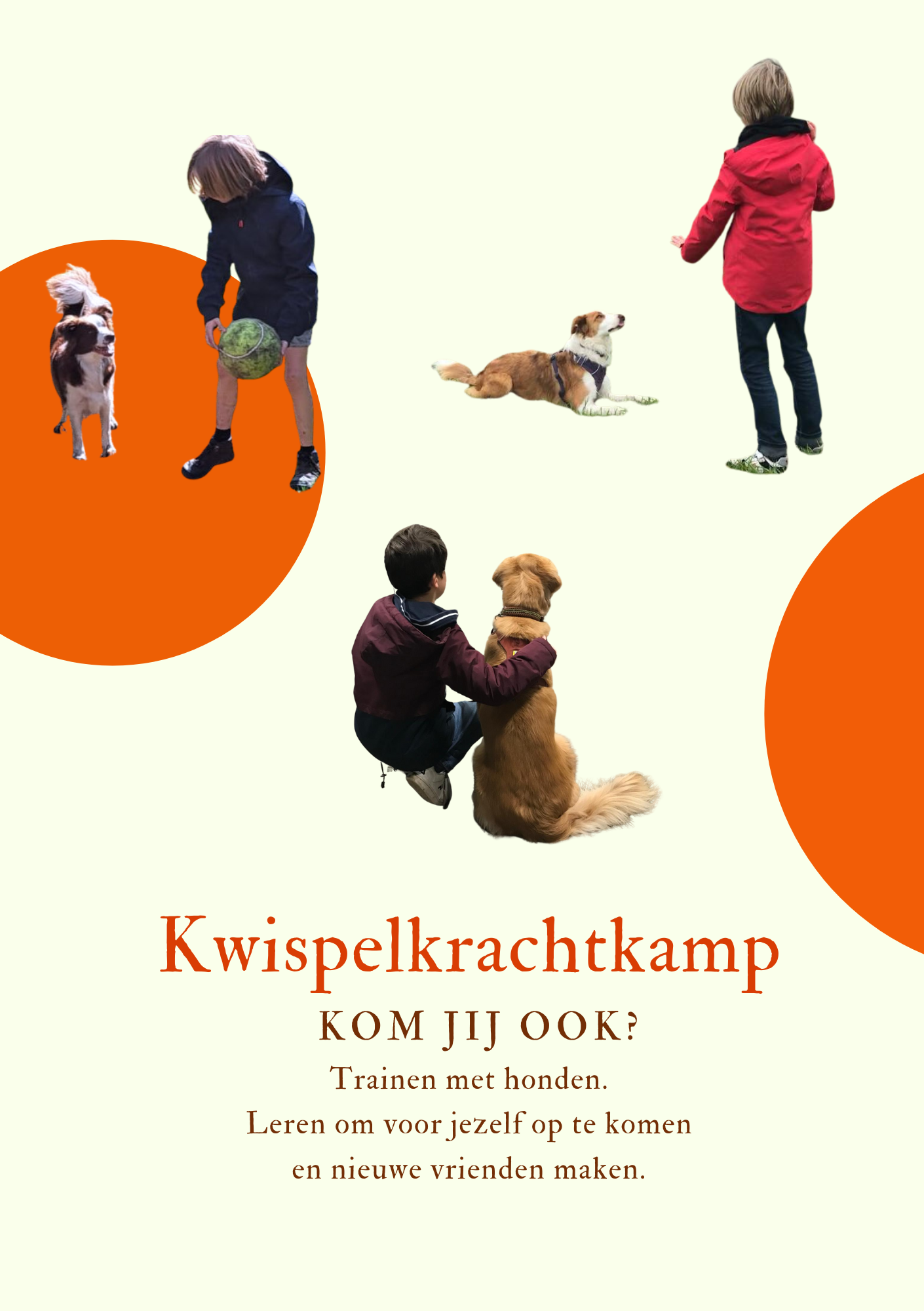 Flyer Kwispelkrachtkamp 2026