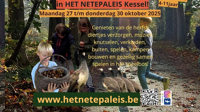 Elke dag anders met een ruim aanbod actviteiten natuur, diertjes, muziek, knutselen, buiten spelen, kampen bouwen, uitstapje, verkleden, toneeltjes...alles naar wens van  het groepje kinderen!