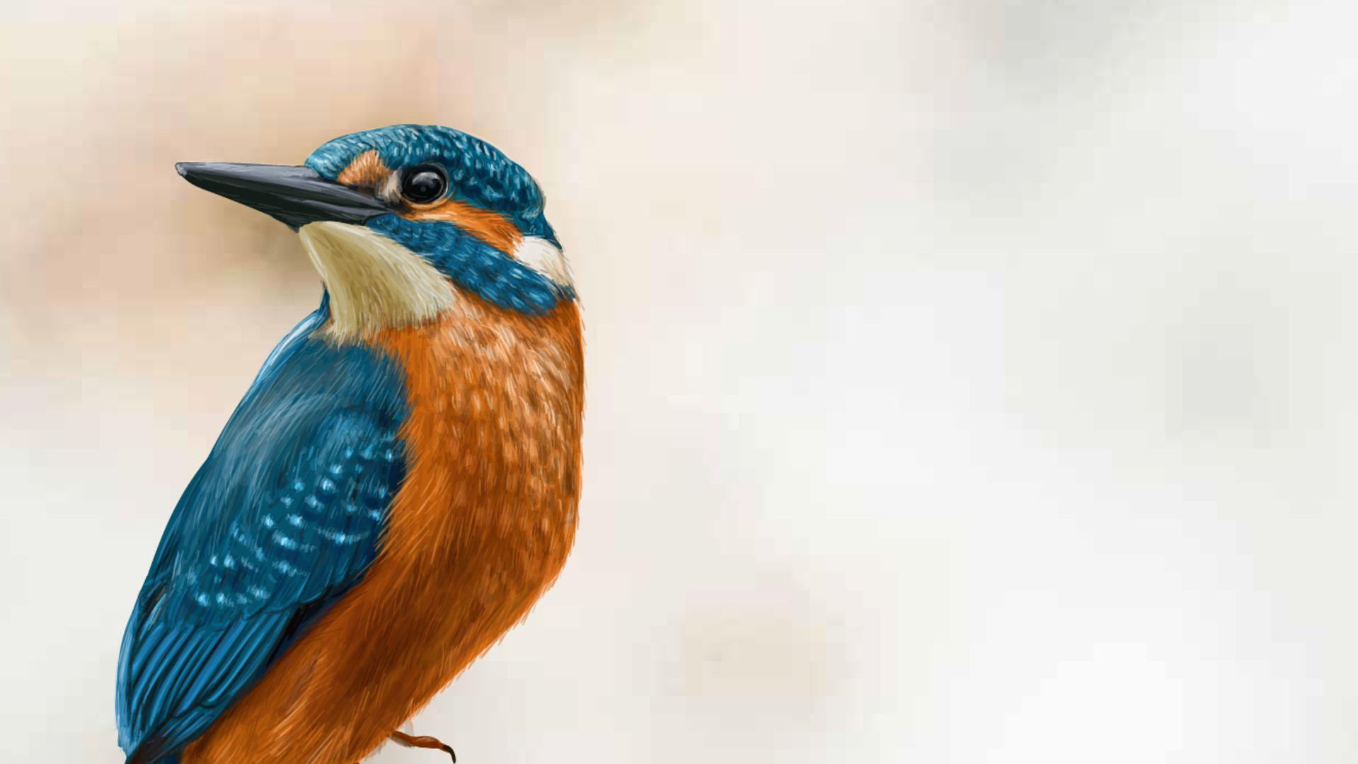 Côté Jardin - Gratis muzikale picknick