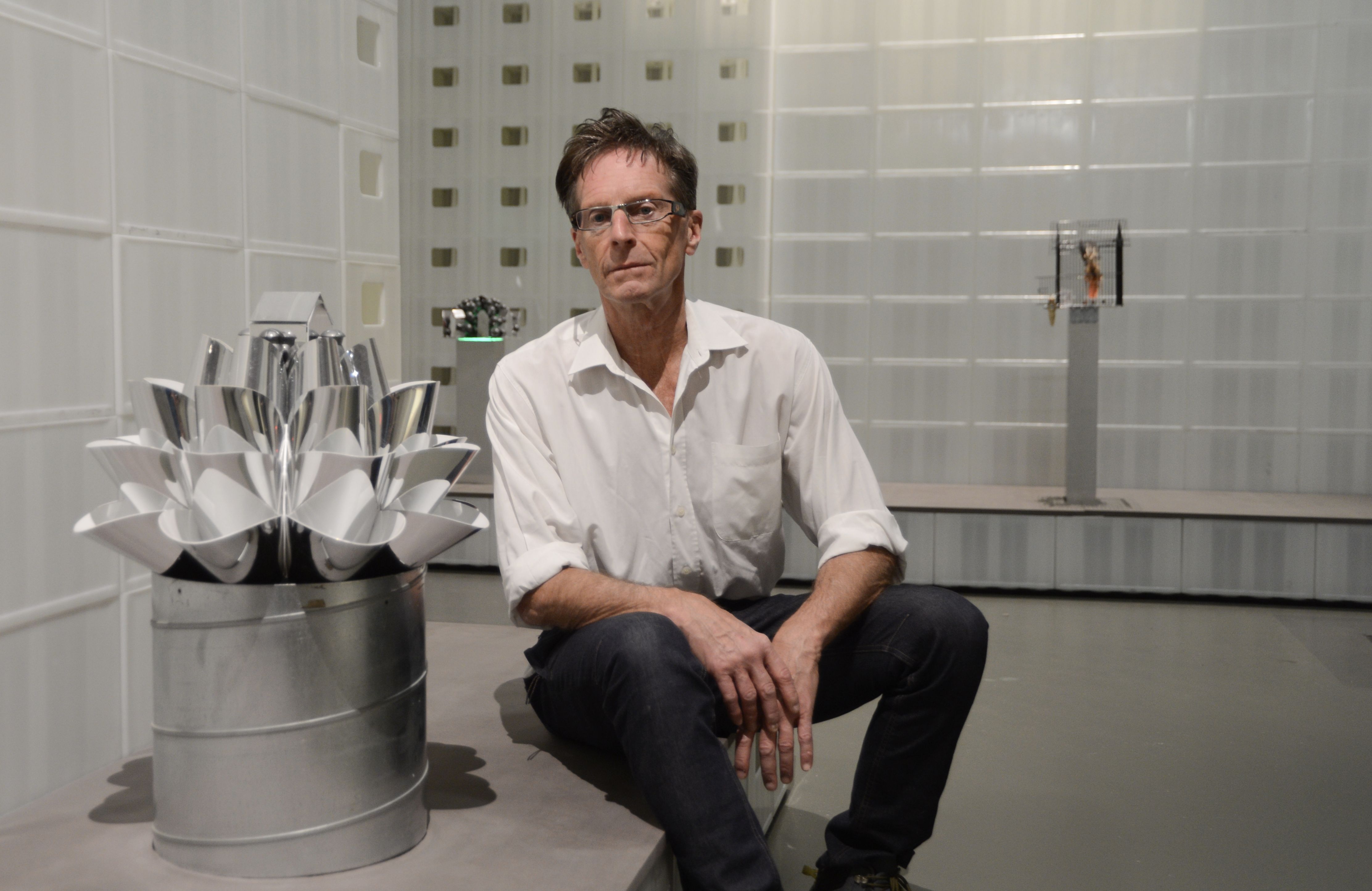 boom des levens - Mark Swysen