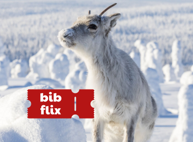 Bibflix Aïlo het dappere rendier