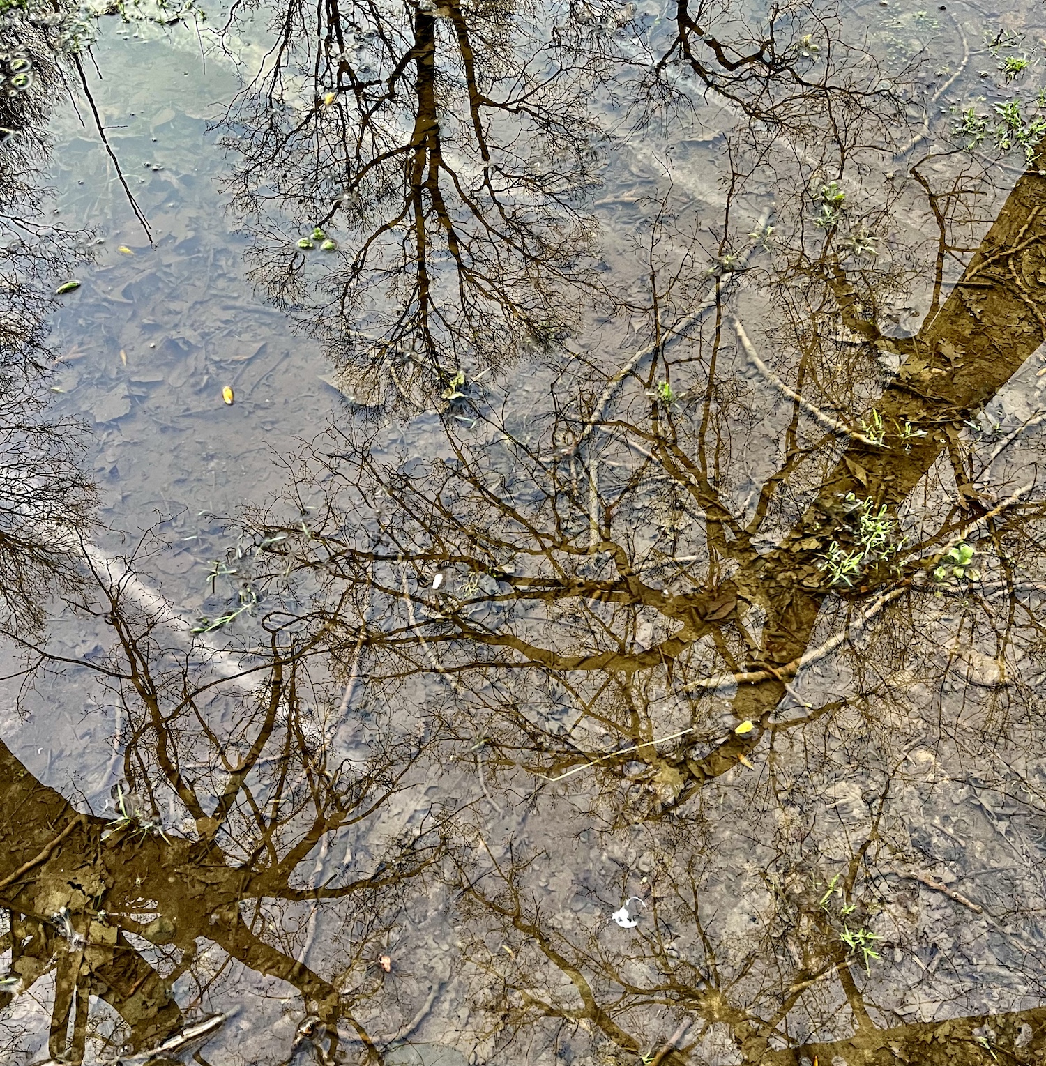 bosbad vol liefde voor de natuur