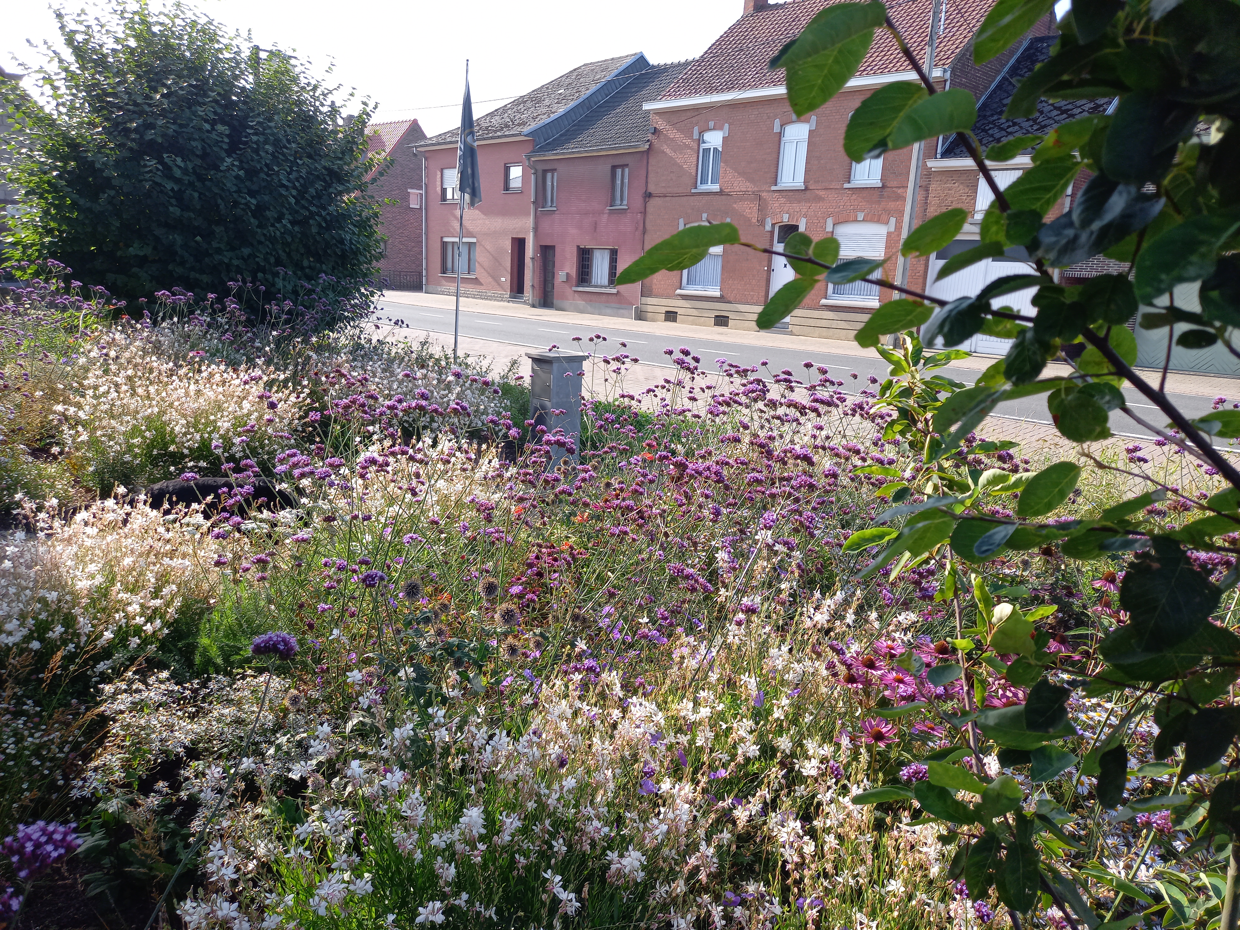 Een klimaatgezonde tuin met veel bloemen, struiken en bomen.