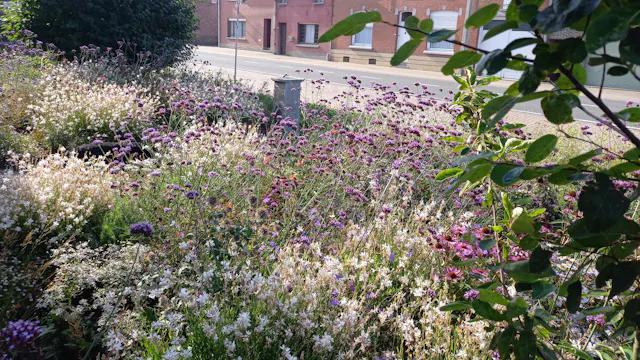 Een klimaatgezonde tuin met veel bloemen, struiken en bomen.