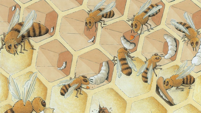 Bezige bijen
