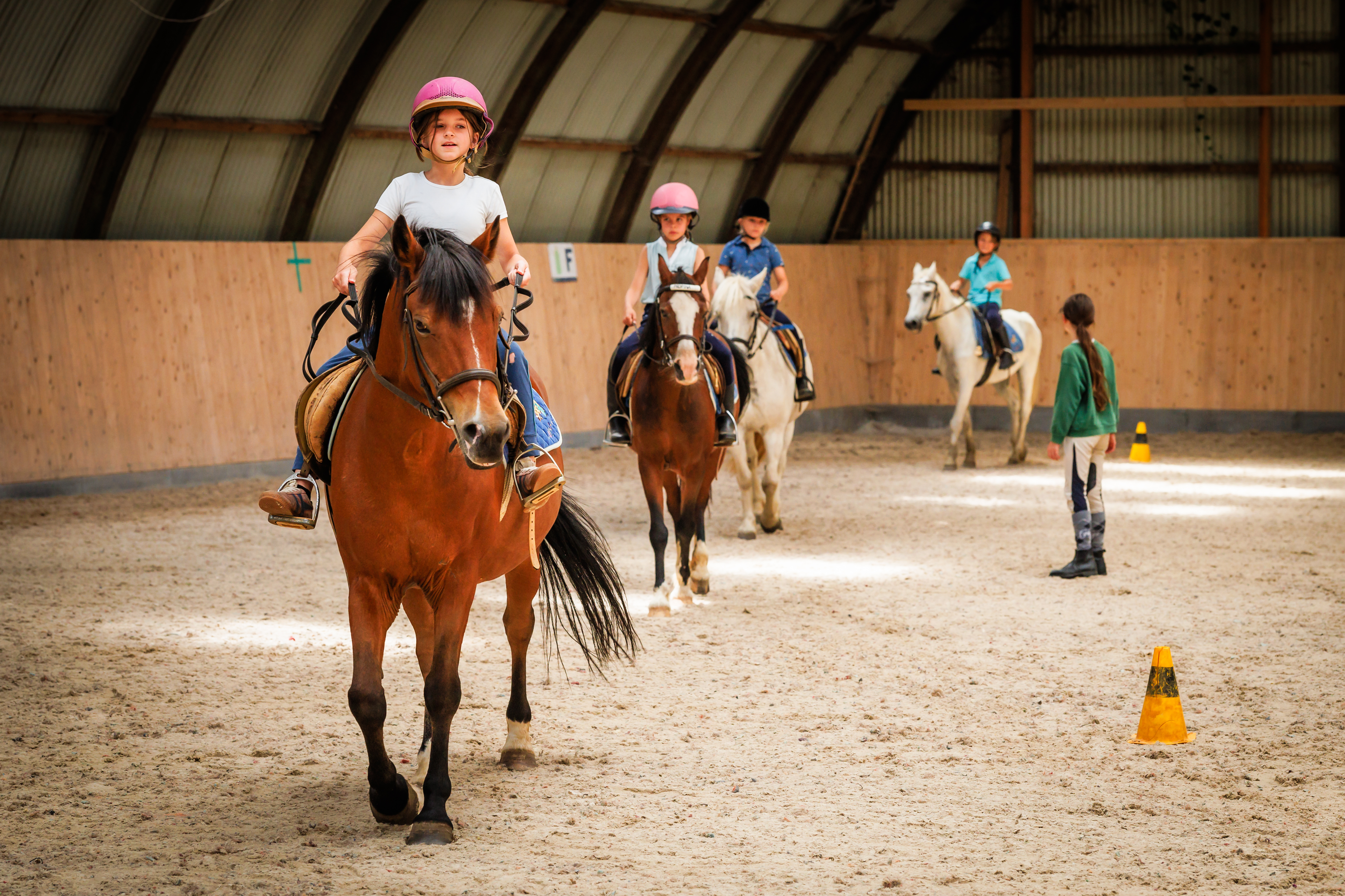 Pony- en paardrijden