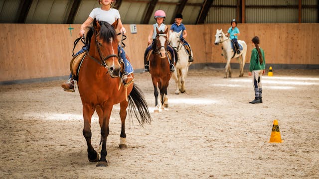 Pony- en paardrijden