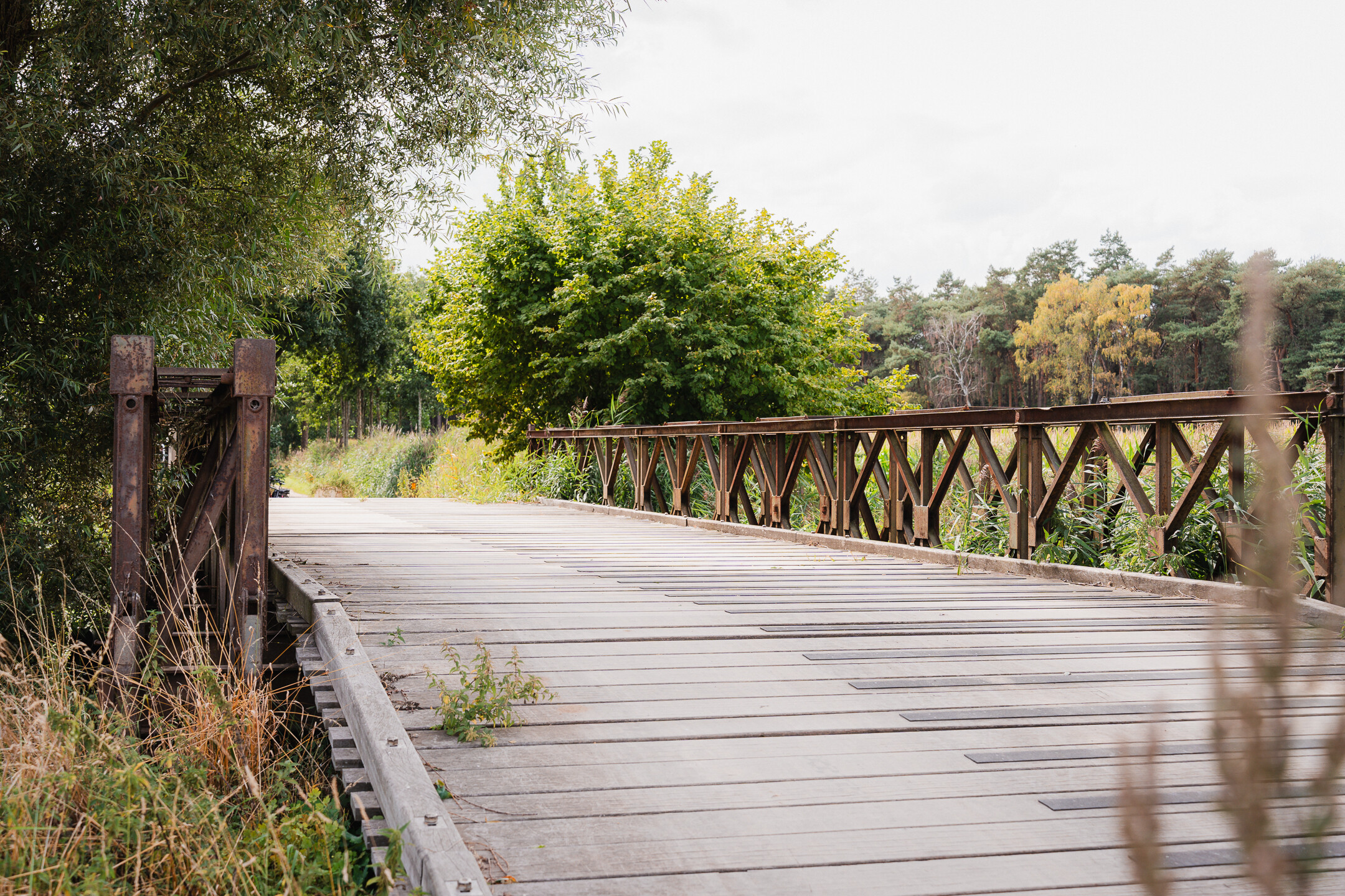 Afbeelding voor evenement Dauwwandeling met ontbijt