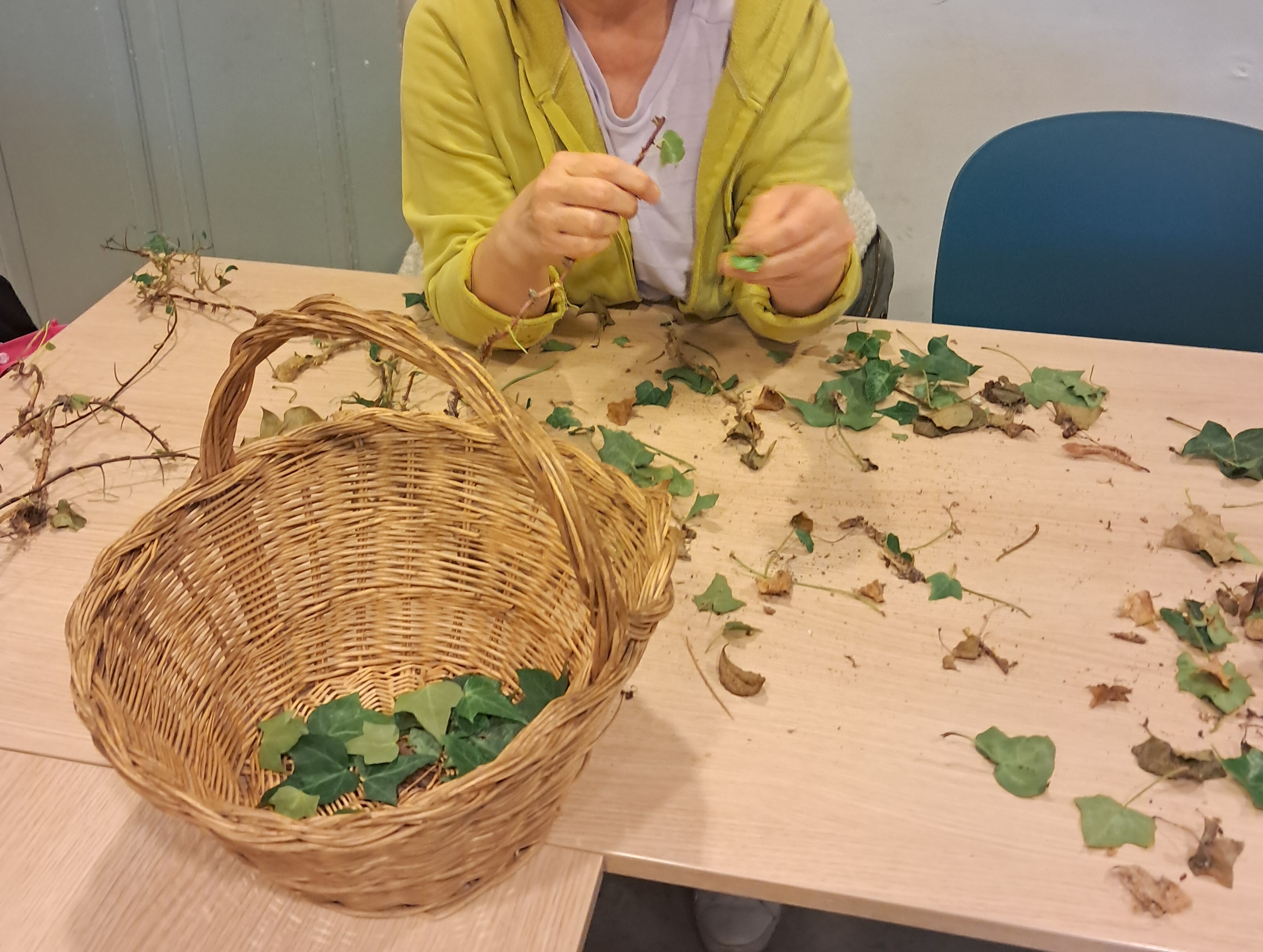 Atelier écoresponsable : Découverte du Lierre et Réalisation d’une Lessive au Lierre