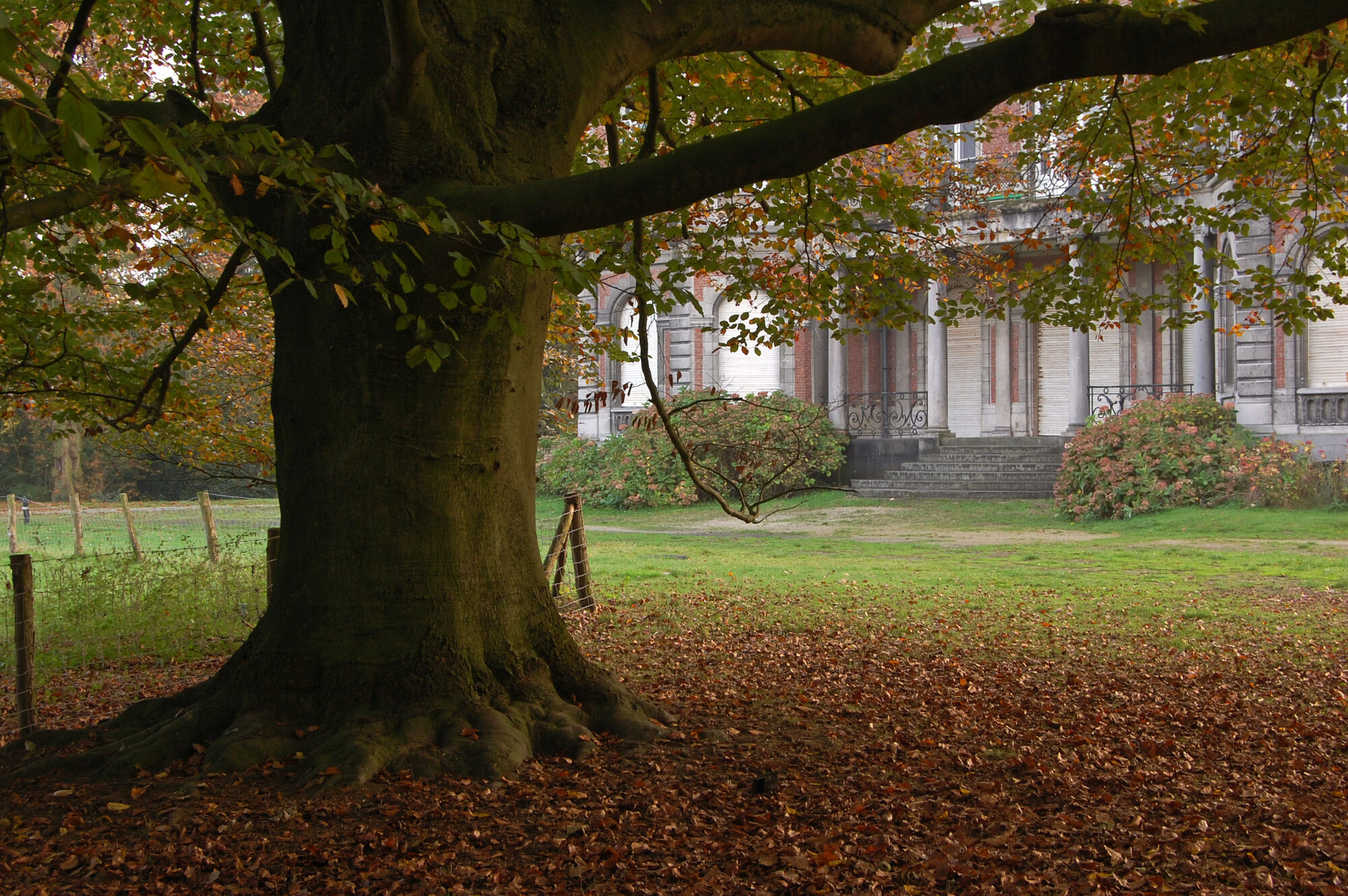 Keltische bomenwandeling