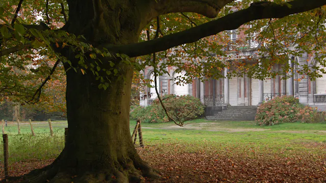 Keltische bomenwandeling