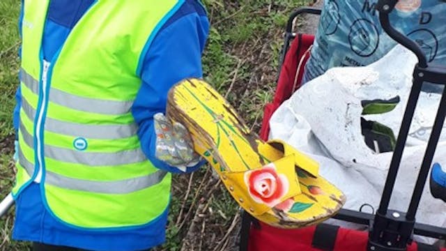 Afbeelding lenteschoonmaak