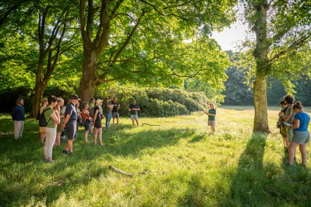 Natuurwandeling - midzomer bij de Kelten klein.jpg
