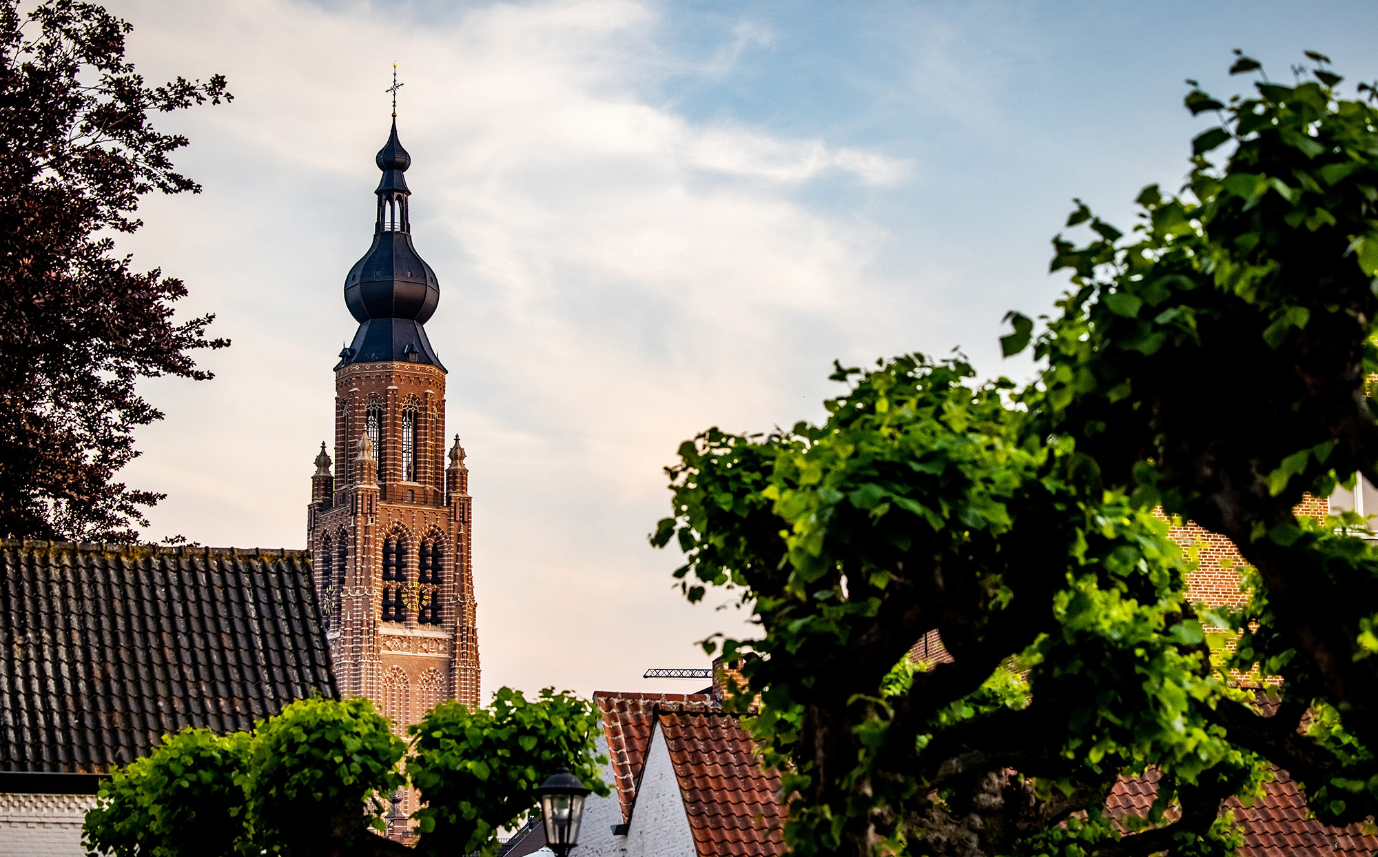 Image for gzbd activity