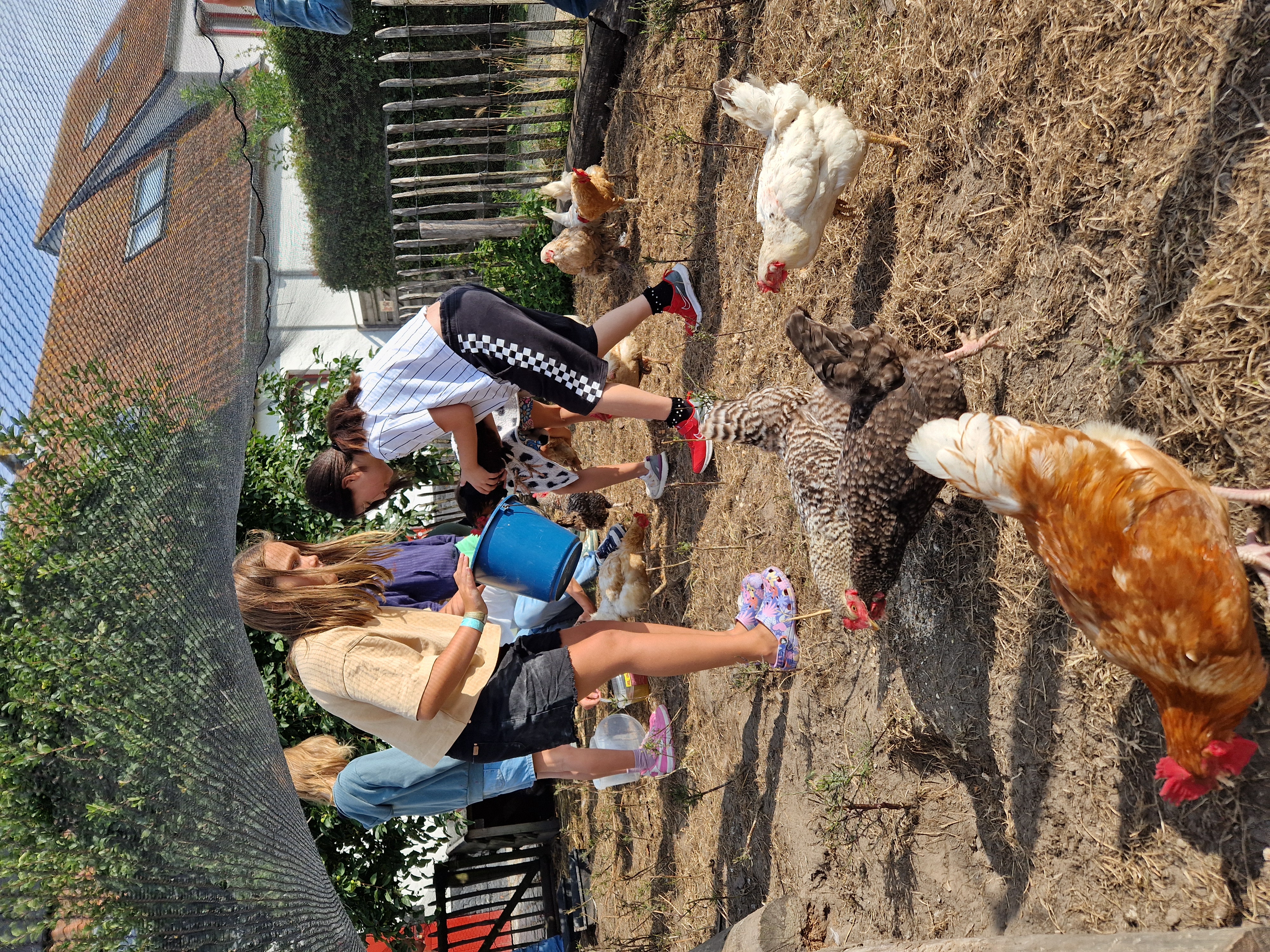 Kinderboerderij De Lange Schuur