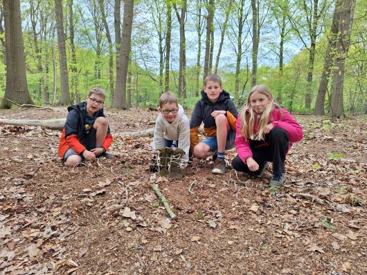 Gezinswandeling - van tak tot spel klein.jpg